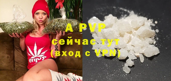 гидра Гусев