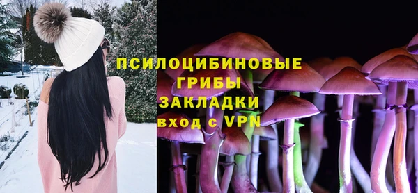 гидра Гусев