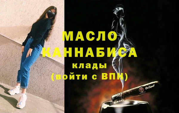 гидра Гусев