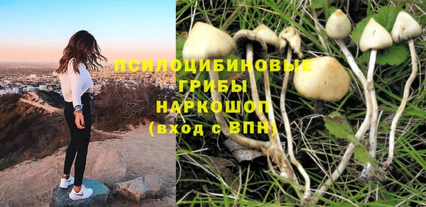 гидра Гусев