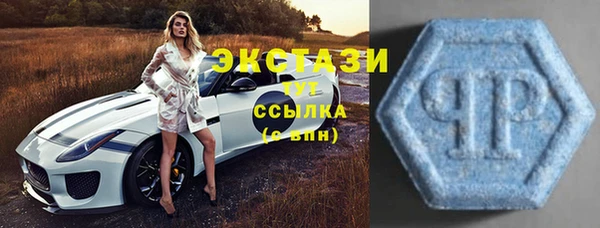 гидра Гусев